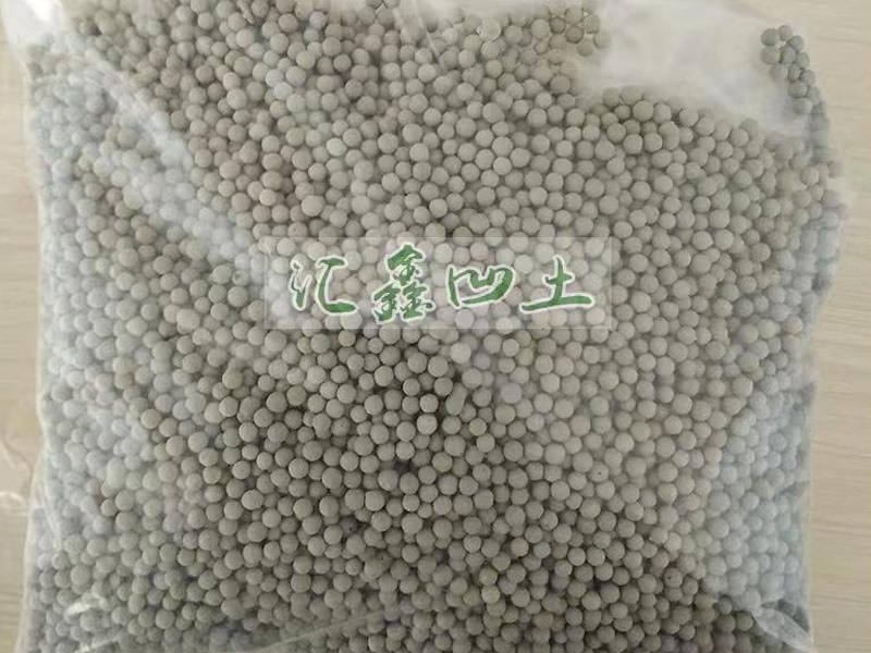 �����ʸ����